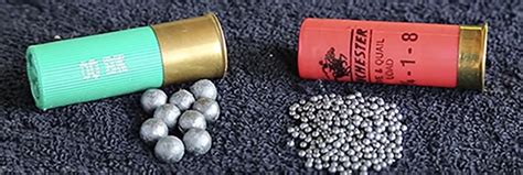 Guns Magazine Buckshot Vs Birdshot Guns Magazine