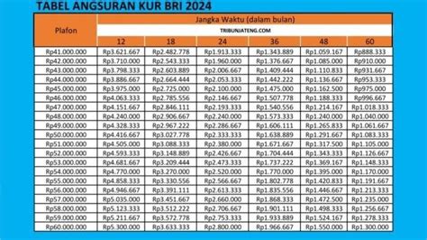 Pinjam Uang Di KUR BRI 2024 Rp45 Juta Berapa Cicilannya Per Bulan Cek