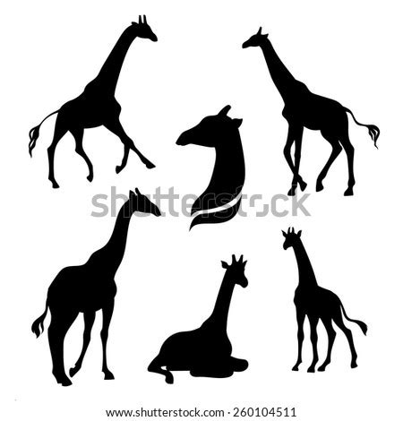 Giraffe Running Stock Vectors & Vector Clip Art | Shutterstock