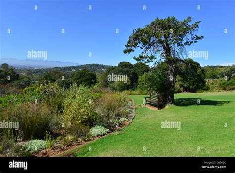 Botanical gardens at the Western Cape of South Africa Stock Photo - Alamy