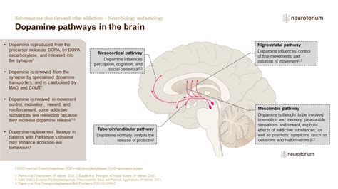 Substance Use Disorders And Other Addictions Neurobiology And