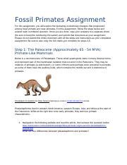 Fossil Primate Assignment Docx Fossil Primates Assignment For This