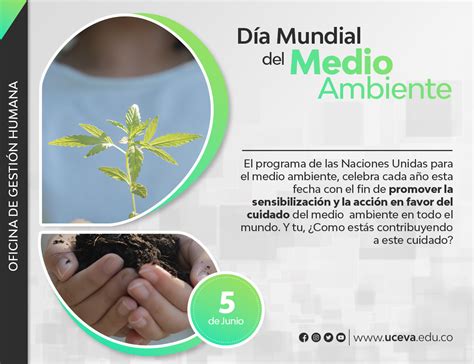 D A Mundial Del Medio Ambiente Unidad Central Del Valle Del Cauca