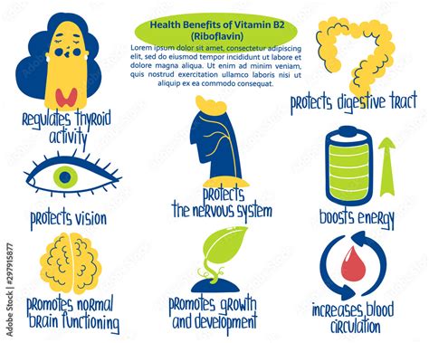 Hand Drawn Vitamin B2 Riboflavin Benefits Boosts Energy Protects Vision Digestive Tract