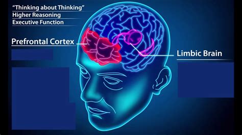 How To Resolve Trauma Stored In The Body Using Pendulation Youtube