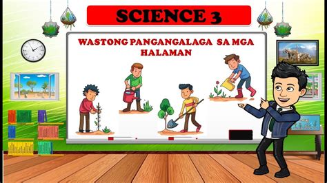 Wastong Pangangalaga Sa Mga Halaman SCIENCE 3 QUARTER 2 YouTube