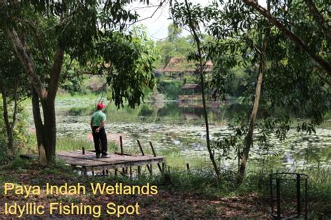 Paya Indah Wetlands Eco Tourism Near Putrajaya Malaysia