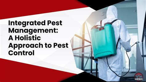 Integrated Pest Management A Holistic Approach To Pest Control