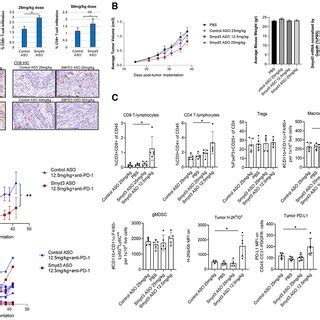 Smyd Depletion Increases Cd T Cell Infiltration And Induces