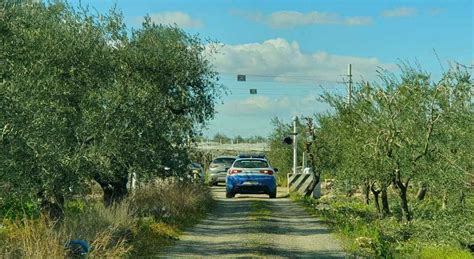 Cadavere Carbonizzato Scoperta Choc In Campagna Mistero