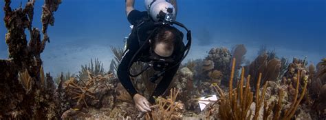 NOAA Coral Reef Conservation Program (CRCP) Home Page