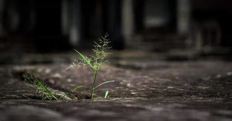 The LORD is with you, mighty warrior - Key Truths