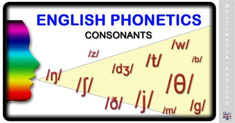 Phonetics Consonants Multimedia English