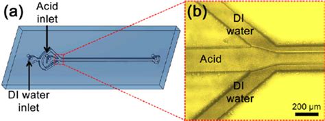 Schematic A And Optical Microscope Image B Of A Hydrodynamic