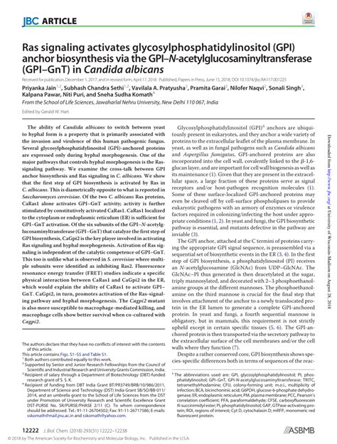 Pdf Ras Signaling Activates Glycosylphosphatidylinositol Anchor