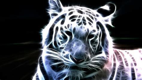 Amazing White Tiger Wallpaper ~ Wallpaper & Pictures