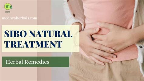 12 Best Herbal Remedies For Natural Sibo Treatment