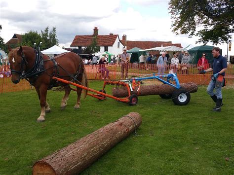 Horse Logging Uk