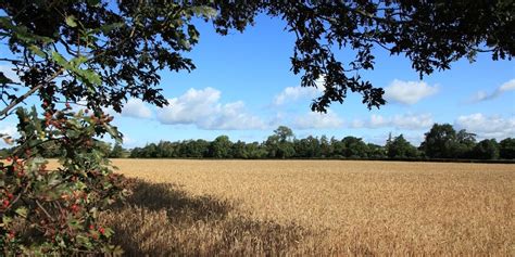 august  facts historical    day  fact site