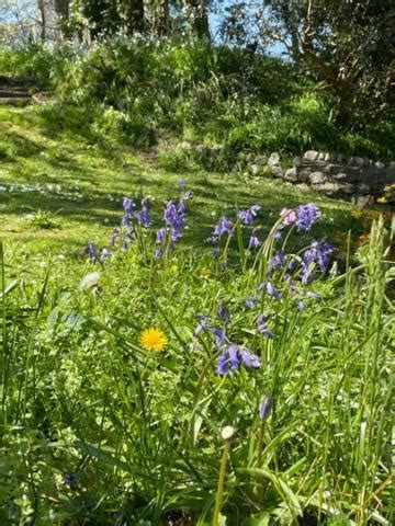 Rosemundy House Hotel St Agnes Cornwall United Kingdom From