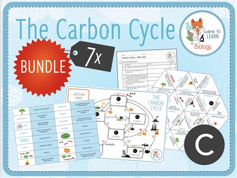 Carbon Cycle 7x Activities And Games Ks3ks4 Teaching Resources