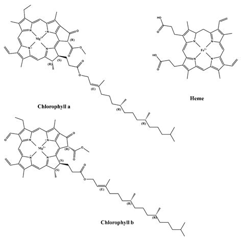 Molecules Free Full Text Insight Into The Progress On Natural Dyes