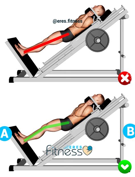 Sentadilla Hack Squat C Mo Hacerla Correctamente