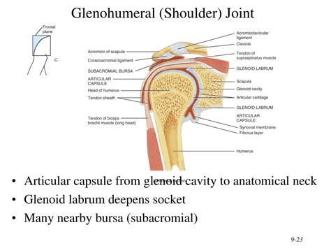 Ppt Chapter 9 Joints Powerpoint Presentation Free Download Id3130113