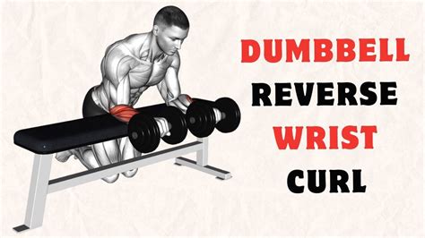 Dumbbell Reverse Wrist Curl