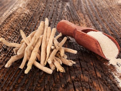 7 Amazing Ashwagandha Benefits For Sexual Health Organic Facts