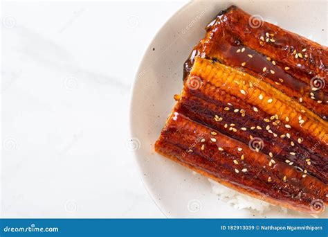 Japanese Eel Grilled With Rice Bowl Or Unagi Don Stock Image Image Of