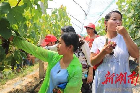 寧鄉灰湯首屆夏季溫泉節出新招 溫泉逆漂邀你來戰 每日頭條