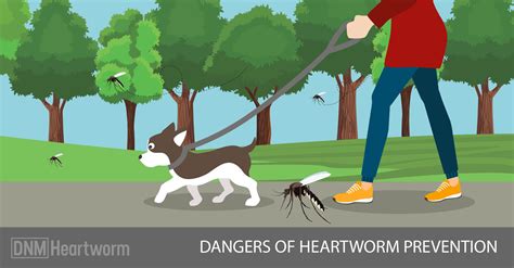 Is Heartworm Prevention Necessary For Your Dog