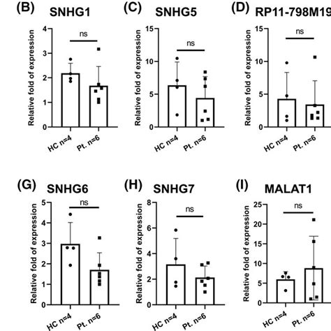 Expression Analysis Of Selected Lncrnas In Human Renal Biopsies A