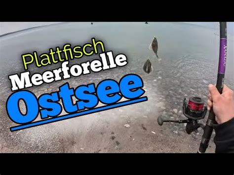 Fisch Der W Rfe Vom Bellyboot In Der Ostsee Angeln Fishing