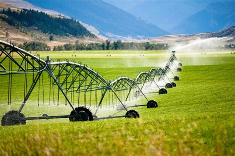 Sprinkler Vs Drip Irrigation System Butlersirrigation