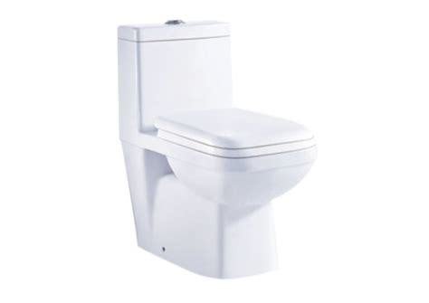 Parryware One Piece Toilet Seat Parryware Single Piece Commode Latest