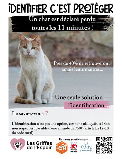 Informations Utiles Association Les Griffes De L Espoir Adoption De