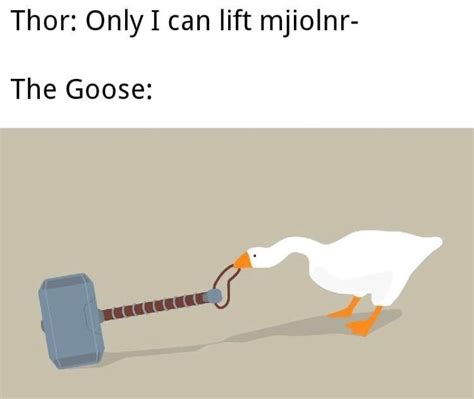 Untitledgoosegame Memes Memes, 46% OFF | www.pinnaxis.com