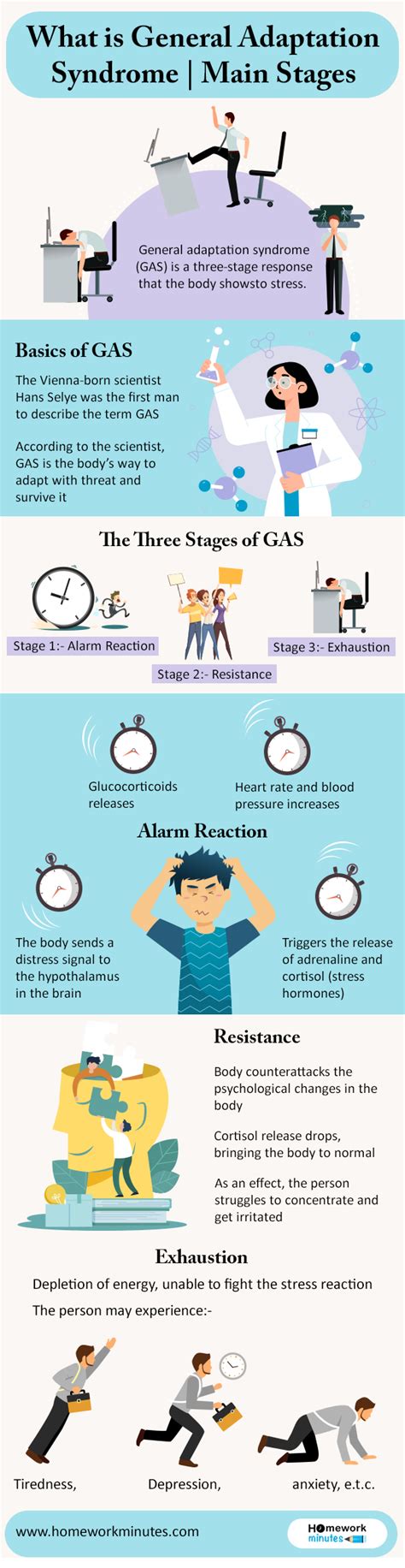 Stages Of The General Adaptation Syndrome