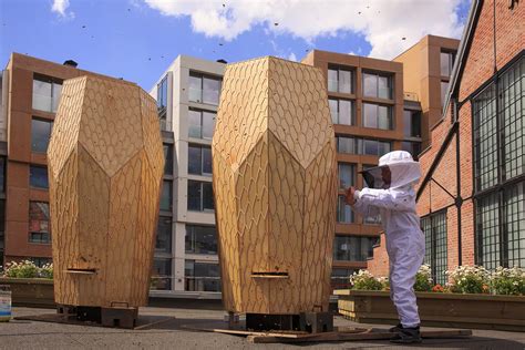 Bees And The City The Vulkan Beehive By Snohetta — Knstrct