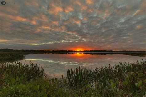 Hardee Lakes Park Lake Park Lake Florida