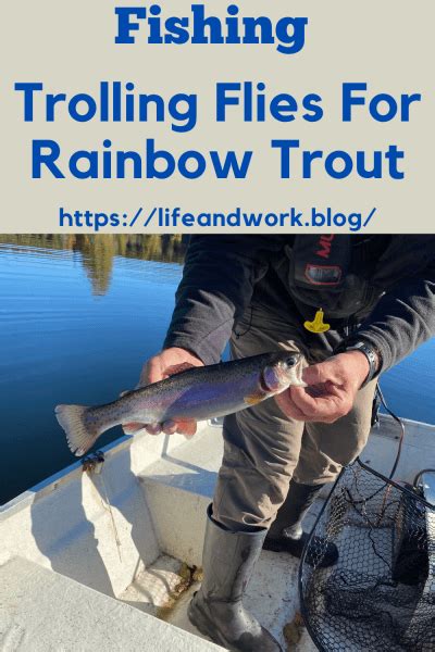 Trolling Flies For Rainbow Trout