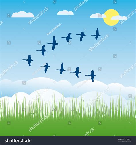 Bird Migration Cartoon