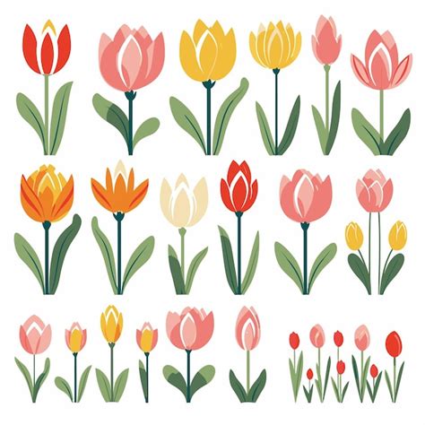 Premium Vector Vector Tulip Collection Set