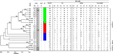 Box Pcr Dendrogram Genotypic And Phenotypic Characterization Of