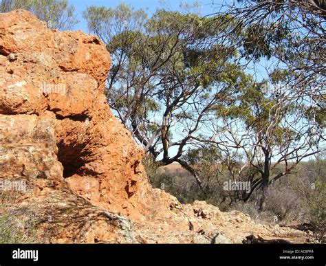 outback Mullewa, Western Australia Stock Photo - Alamy