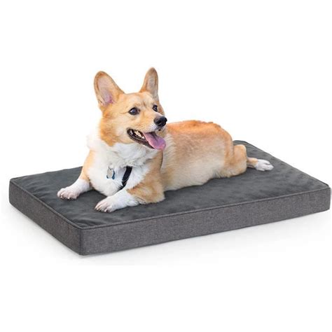 Panier Pour Chien Coussin Orthopedique Tapis Grande Taille Mémoire