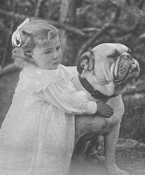 History of the Olde English Bulldogge — Pinnacle Bulldogges