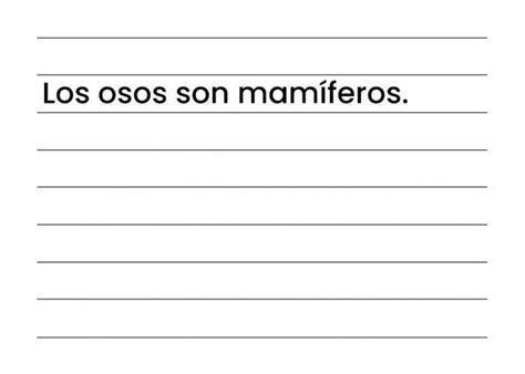 Examen De Primaria Demuestra Tus Conocimientos